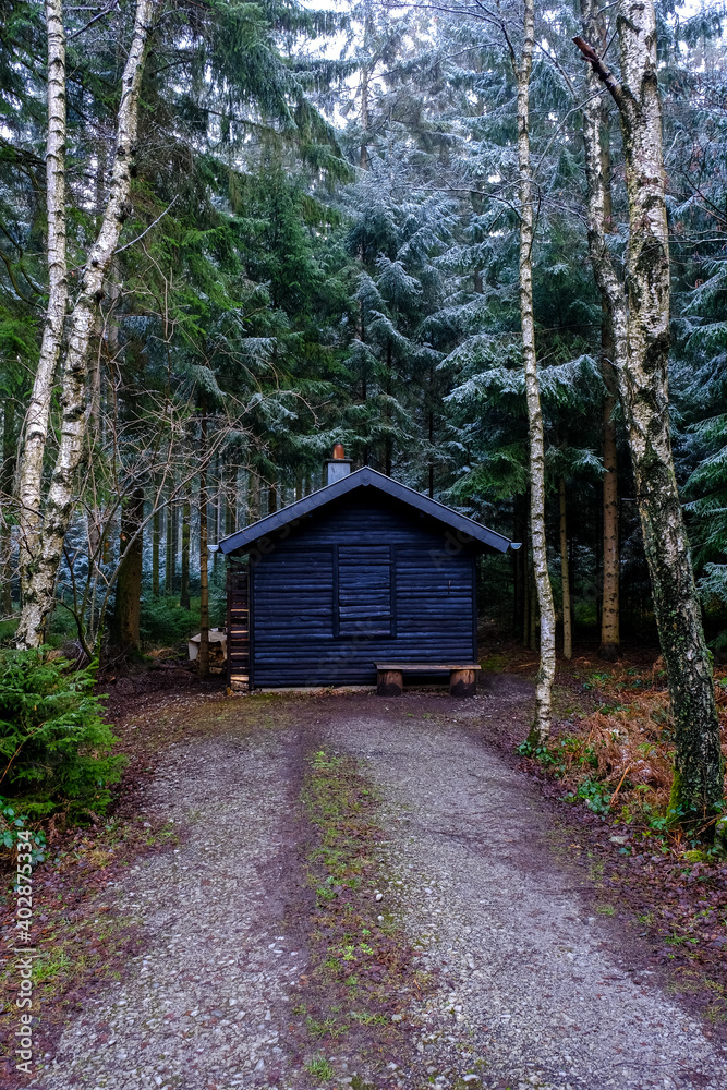 Small cabin in pine tree forest at winter. Small cabin in pine tree forest at winter.