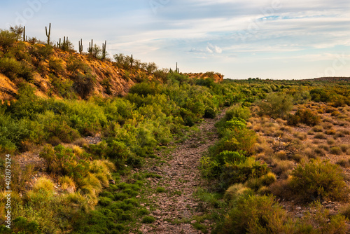 A dry wash and undeveloped land near Peoria and Phoenix Arizona.