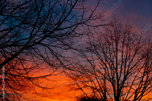 Branches an sunset © AlainL