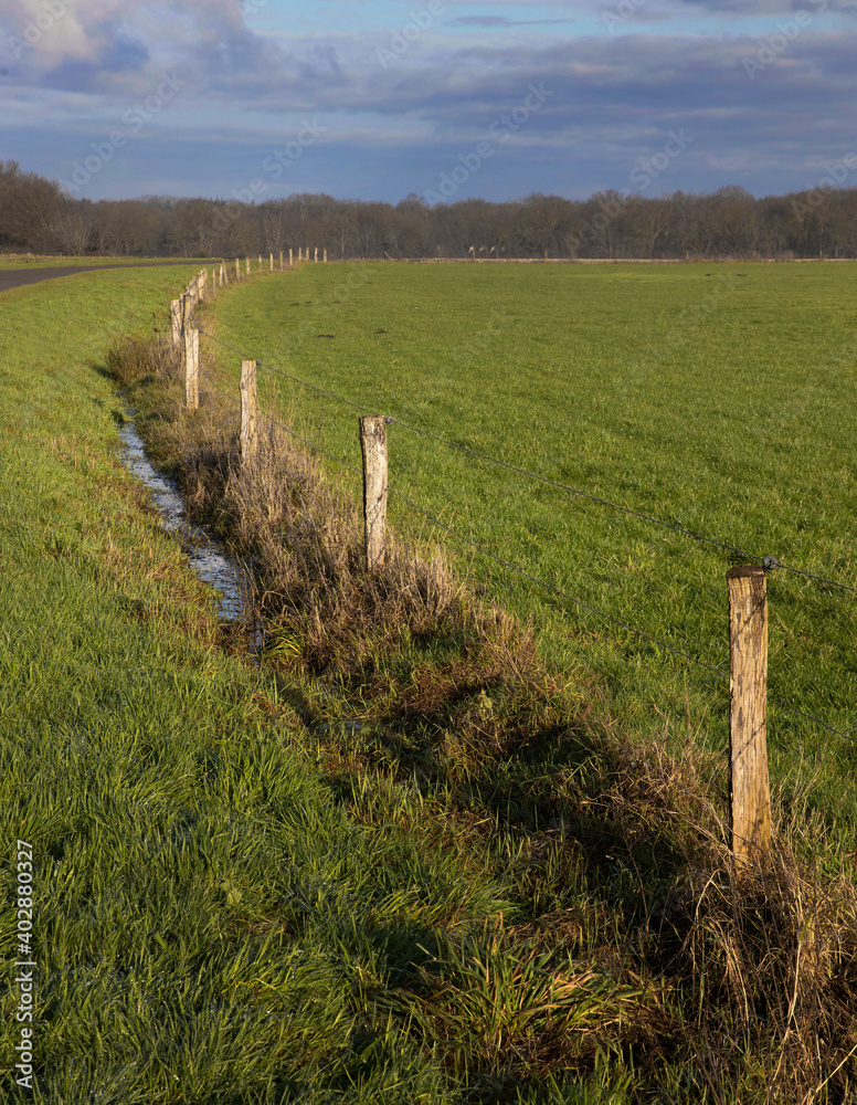 Meadows and fence in winter. Uffelte Drenthe Netherlands. Countryside. 