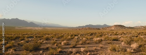 Wallpaper Mural Vast arid valley in Uspallata, Mendoza, Argentina. Wide panoramic view. Torontodigital.ca