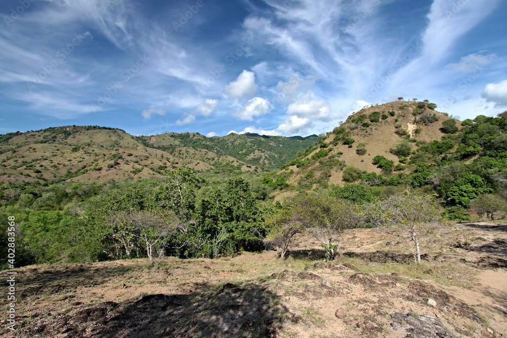 Landscape of Komodo Island. Indonesia. Asia. Landscape of Komodo Island. Indonesia. Asia.