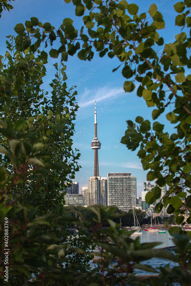 Naklejka premium Tree Surrounding CN Tower, Toronto Canada