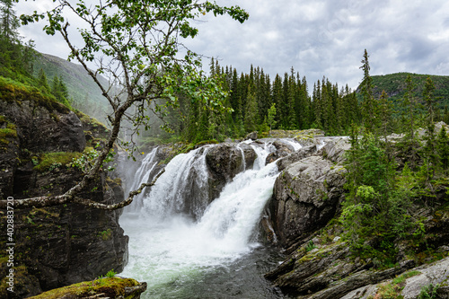 View to the Rjukandefoss waterfall with branches in the picture