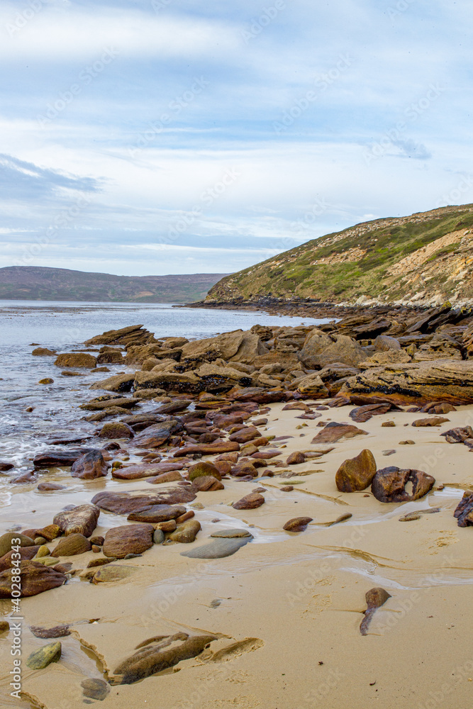 Obraz premium Sandy beach of New Island in the Falkland Islands