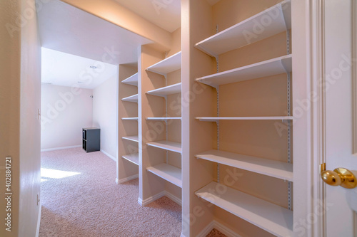 Walk in closet or vault interior with carpet on floor and empty wall shelves
