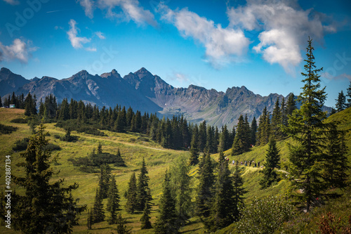 hiking path in the alps, planai, schladming, austria