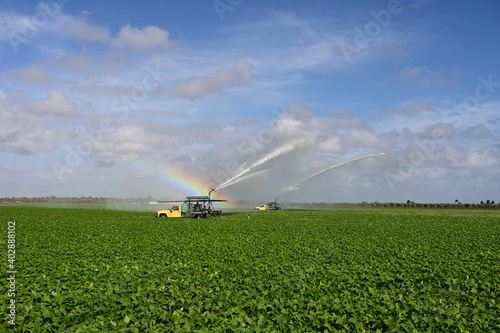 Pump trucks irrigating planted fields near Homestead  Florida creating rainbow in spray on sunny winter morning.
