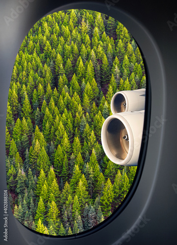 Green forest trees seen through airplane window