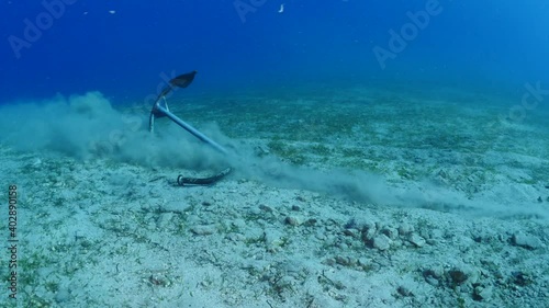 anchor harming the environment and echology underwater wegetation and sea plants and grass  photo