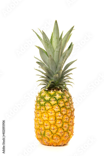 Large yellow pineapple fruit standing isolated on a white background