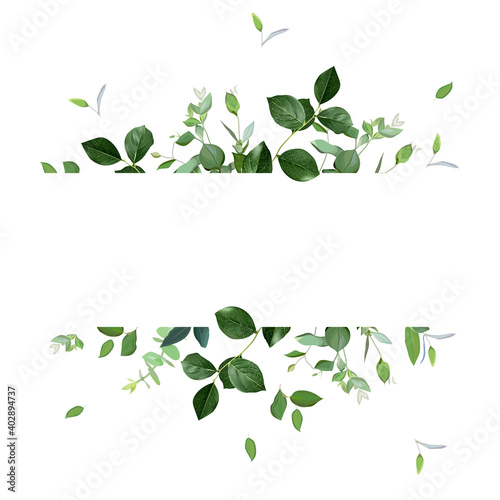 Herbal horizontal vector frame. Hand painted plants