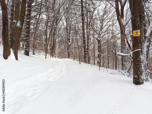 Snowshoeing trail on on Mont-Royal, Montreal