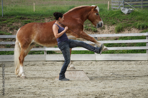 Fotografía Woman trains dressage horse in corral
