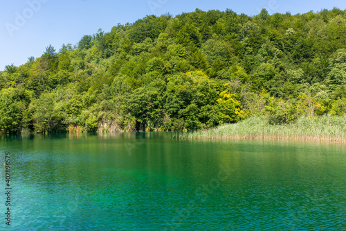 The forest and the lake of Plitvice