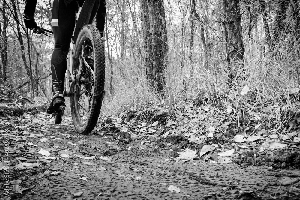 Mud tracks on a mountain bike trail in black and white Mud tracks on a mountain bike trail in black and white