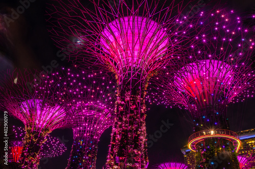 SINGAPORE, 3 OCTOBER 2019: The Supertrees of Gardens by the bay by night