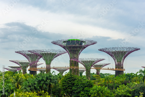 SINGAPORE, 3 OCTOBER 2019: The supertrees of Gardens by the Bay photo
