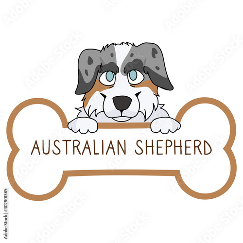 Cute cartoon Australian Shepherd on collar dog tag vector clipart. Purebred doggy identification medal for pet id. Domestic dog for pet pooch. 