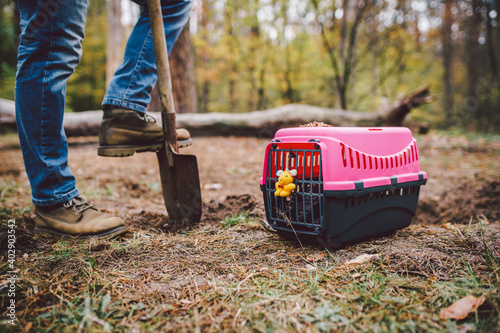 Valokuva The topic of burial of pets is not legal