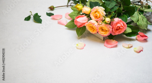 Rose Flowers on Gray Background. Pink Yellow Roses  Copy Space 