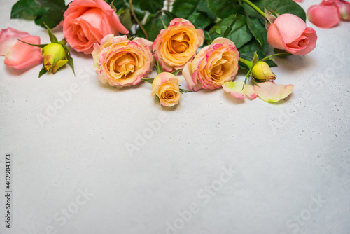 Rose Flowers on Gray Background. Pink Yellow Roses, Copy Space 