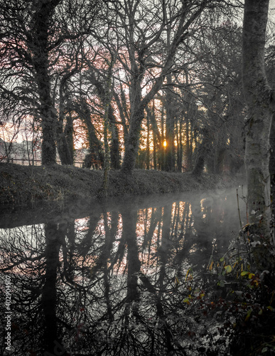 Foggy Sunrise at Irish Canal