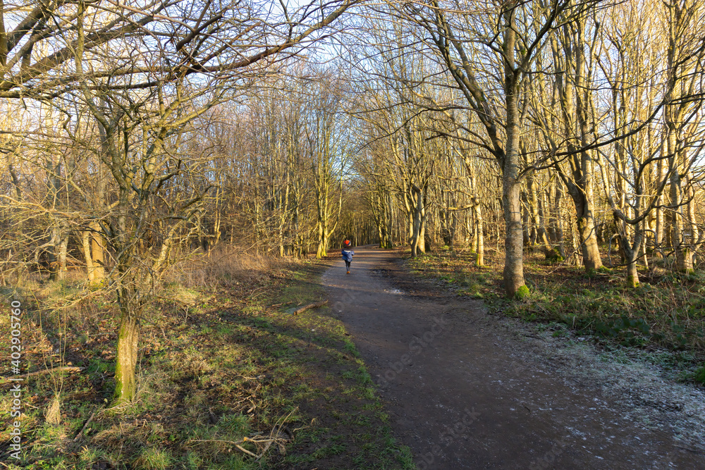 A small boy with red hat and blue anorak exploring Eglinton Country Park Irvine with its frozen walks and winter bared trees