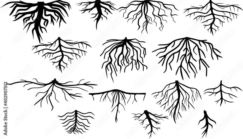Set of black silhouettes of different types of root systems isolated on white background - obrazy, fototapety, plakaty 