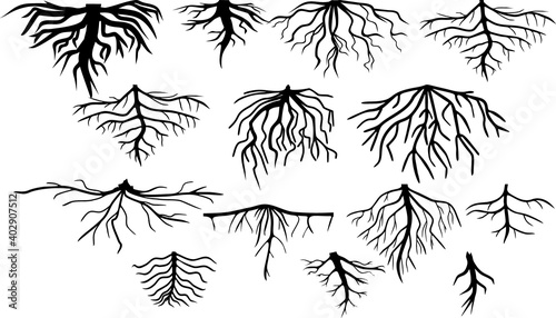 Set of black silhouettes of different types of root systems isolated on white background