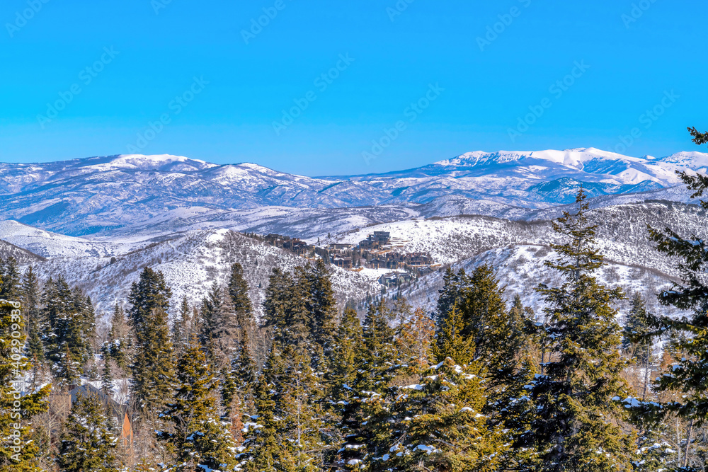 Lush evergreen trees with houses sitting on top of snowy mountain background