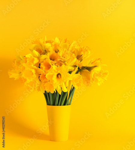 Floral composition in yellow colors. Beautiful bouquet of spring narcisus flowers or daffodils