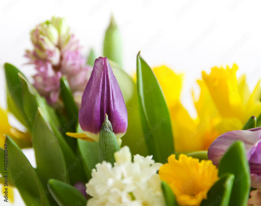 Fototapeta premium Bright bouquet of spring flowers