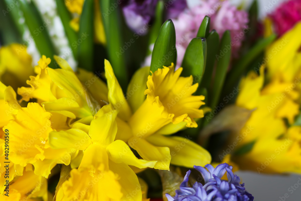 Bright bouquet of spring flowers. Narcisus, hyacinth and tulips close up. Bright bouquet of spring flowers. Narcisus, hyacinth and tulips close up.