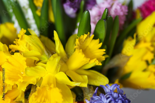 Bright bouquet of spring flowers. Narcisus, hyacinth and tulips close up.