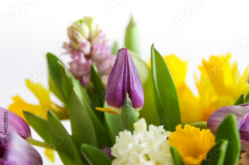 Fototapeta Naklejka Na Ścianę i Meble -  Bright bouquet of spring flowers