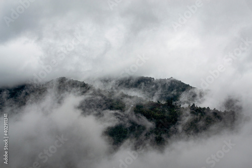 Niebla en la Sierra Mazateca. 