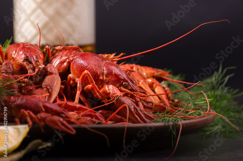 Boiled red crawfish, ready to eat with lemon slices and ice cubes on a black surface.