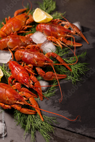 Crayfish on a dish with dill spices and lemon.