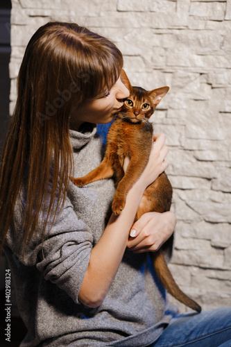 Tender woman kissing beautiful cute Abyssinian cat or kitten at home