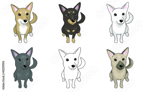 DOG