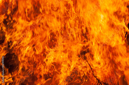 Fire flames background. Burning grass. Blaze fire flame texture for background.