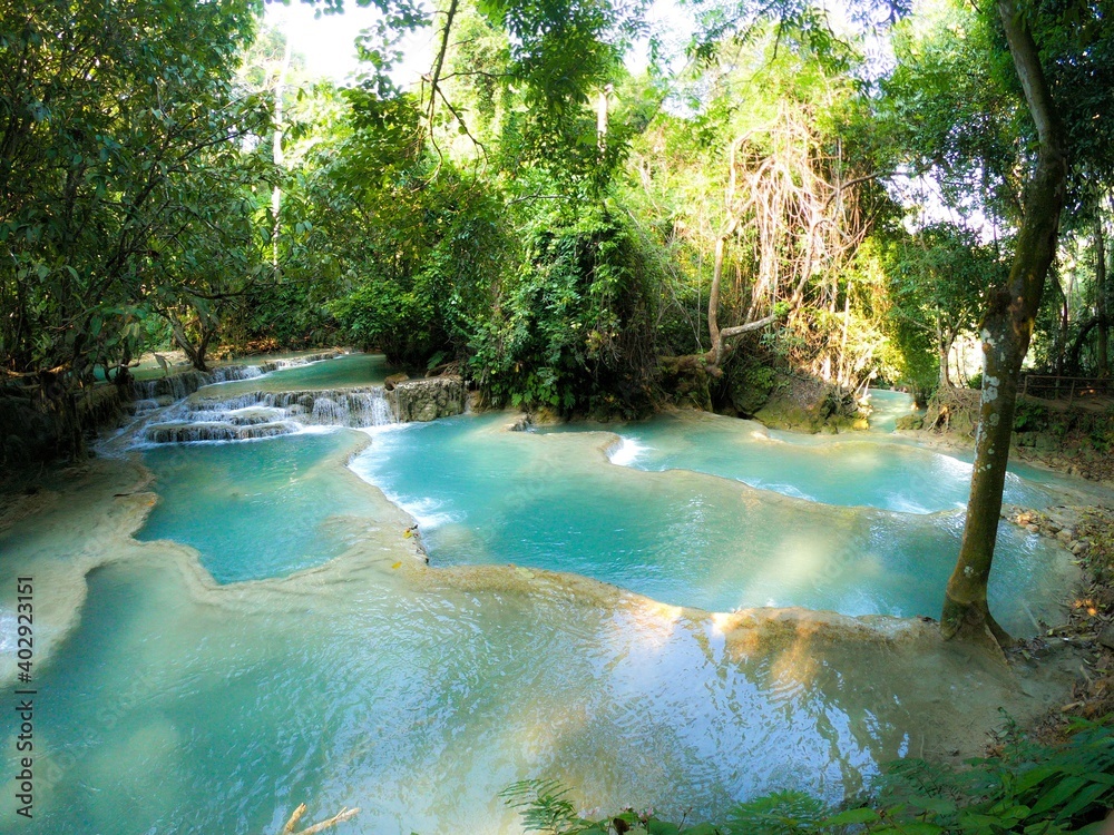 Naklejka premium pool in the jungle