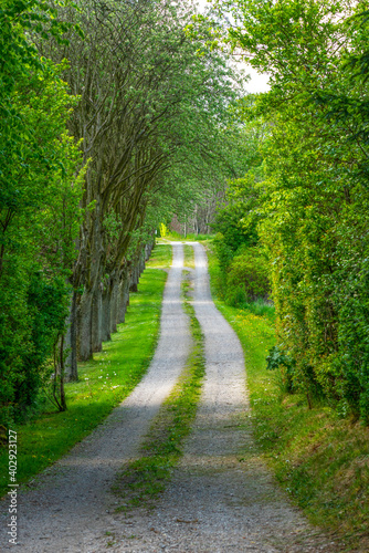 Country road