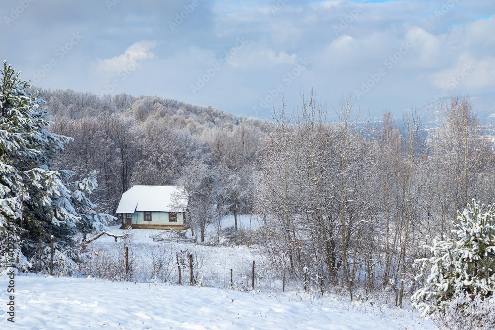 Naklejka premium Superb winter landscape with village house in the mountains. Snow-covered trees, branches in hoarfrost. Part of the Ukrainian Carpathians in Transcarpathia near Tyachiv.