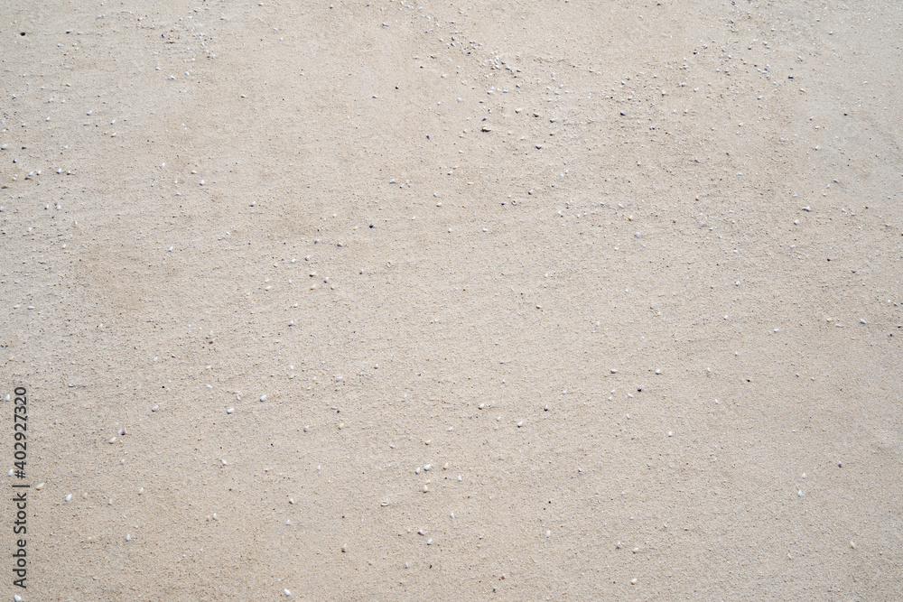 Sandy beach texture with small seashells on beach in sunny day Image for nature travel background Summer Design concept Sandy beach texture with small seashells on beach in sunny day Image for nature travel background Summer Design concept