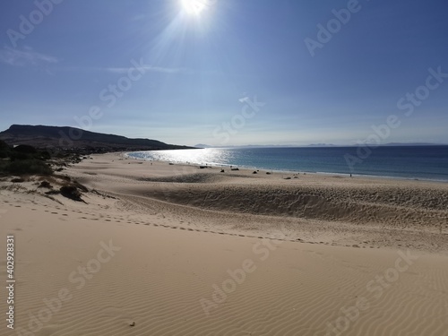 tarifa spain bolonia 