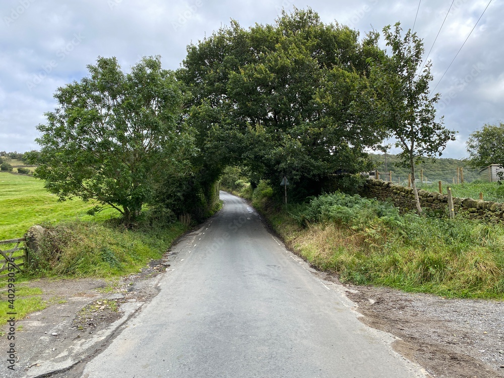 Looking along, Holden Lane, with large trees, dry stone walls, and cloudy skies near, Silsden, Keighley, Uk Looking along, Holden Lane, with large trees, dry stone walls, and cloudy skies near, Silsden, Keighley, Uk