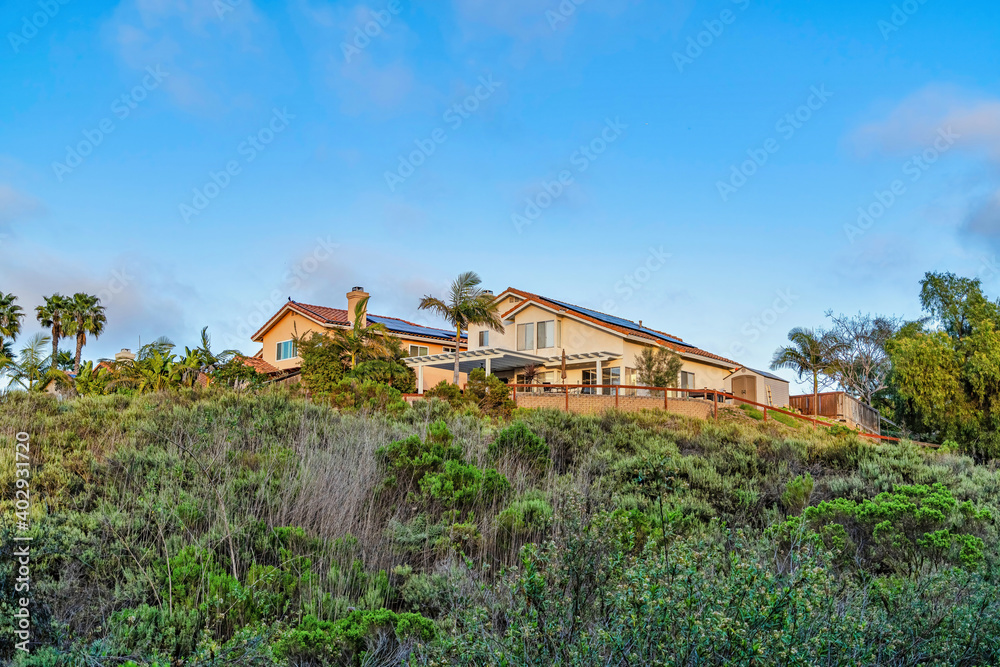 Houses with blue sky background amid green tree foliage in San Diego California