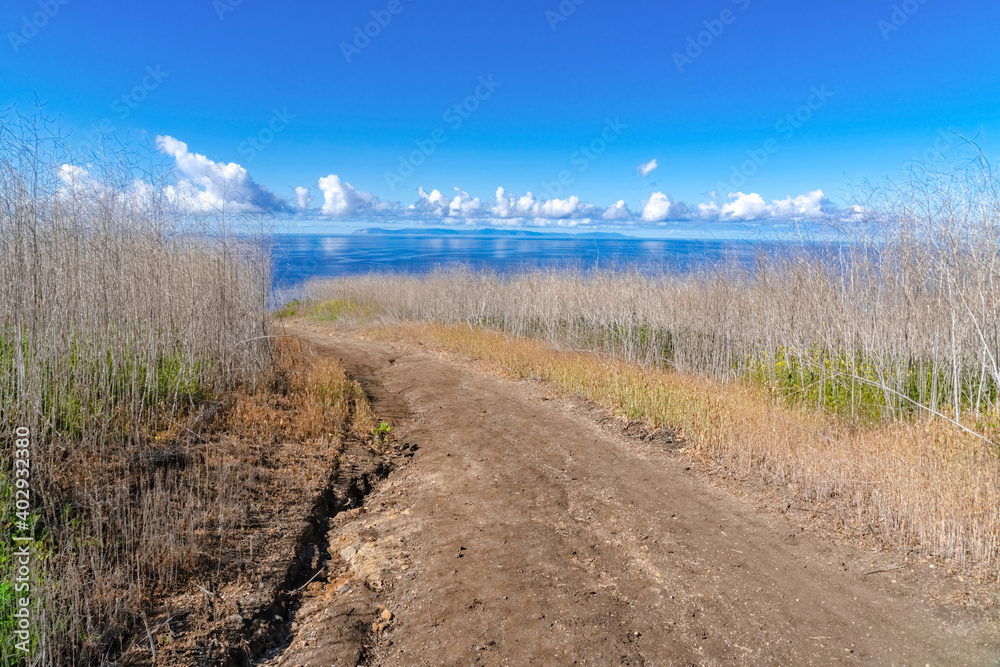 Dirt road with view of blue ocean and sky in Crystal Cove State Park California